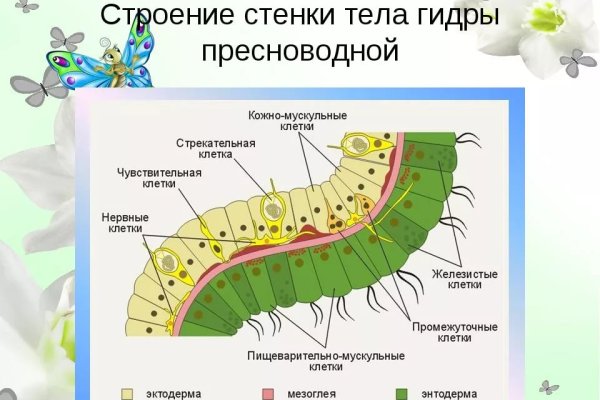 Кракен сайт пишет пользователь не найден