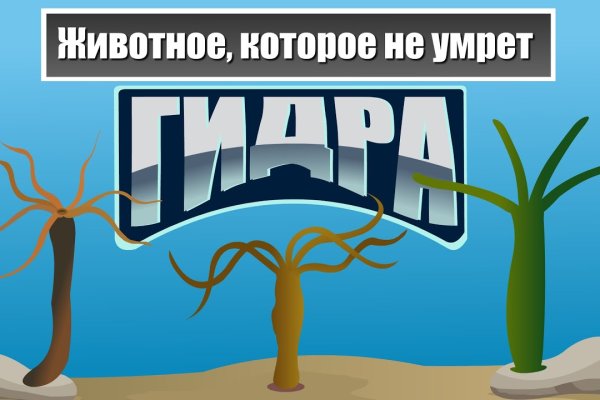 Кракен маркет онион